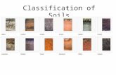 Classification of Soils. I.Zonal Classification of Soils A.Russian School V.V. Dokuchaiev—proposed a zonal (climatic) classification: Chernozems, Podzols.