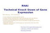 RNAi Technical Knock Down of Gene Expression Chul Geun Kim (cgkim@hanyang.ac.kr) Laboratory of Molecular Genetics Hanyang University RNA Silencing – RNA.
