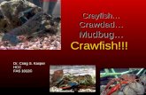 Crayfish… Crawdad… Mudbug… Crawfish!!! Crayfish… Crawdad… Mudbug… Crawfish!!! Dr. Craig S. Kasper HCC FAS 1012C.