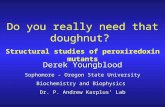 Derek Youngblood Sophomore - Oregon State University Biochemistry and Biophysics Dr. P. Andrew Karplus’ Lab Do you really need that doughnut? Structural.