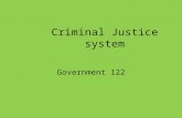Criminal Justice system Government 122. Standard SSCG21 SSCG21 The student will describe the causes and effects of criminal activity. –Examine the nature.