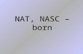 NAT, NASC – born. NAU, NAV – ship, sailor NEG – not, deny.