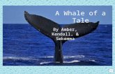 A Whale of a Tale By Amber, Kendall, & Sekemma TRIP TO THE MOON CRISPUS ATTUCKS LED A SAILING CREW IN THE BOSTON MASSACRE, BUT THEY WERE NOT BIG ENOUGH.