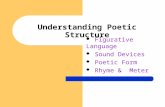 Understanding Poetic Structure Figurative Language Sound Devices Poetic Form Rhyme & Meter.