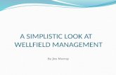 A SIMPLISTIC LOOK AT WELLFIELD MANAGEMENT By Jim Murray.