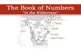 The Book of Numbers “In the Wilderness” The Book of Numbers “In the Wilderness”