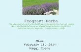 Fragrant Herbs “Sweet perfumes work immediately upon the spirits, for their refreshing sweet and healthfull ayres are special preservatives to health,