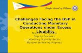 Challenges Facing the BSP in Conducting Monetary Operations under Excess Liquidity Diwa C. Guinigundo Deputy Governor Monetary Stability Sector Bangko.