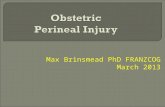 Max Brinsmead PhD FRANZCOG March 2013.  Definitions  Some anatomy  Repair of 2 nd degree obstetric injury  Risk factors for 3 rd & 4 th degree tears.