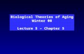 Biological Theories of Aging Winter 08 Lecture 5 – Chapter 5.