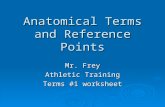 Anatomical Terms and Reference Points Mr. Frey Athletic Training Terms #1 worksheet.