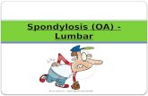 Spondylosis (OA) - Lumbar. Definition “Spondy” is Latin for spine “Losis” is the Latin term for problem. Not only osteoarthritis of the lumbar spine,
