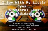 A Guide to Identifying Potential Scleral Lens Patients Sept 20, 2014 Natalie Santelli, MAT, OD.