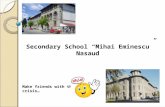 Secondary School “Mihai Eminescu” Nasaud Make friends with the crisis…