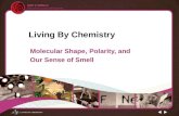 Living By Chemistry Molecular Shape, Polarity, and Our Sense of Smell.