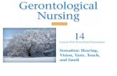 Sensation: Hearing, Vision, Taste, Touch, and Smell 14 Lecture Note PowerPoint Presentation.