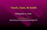 Touch, Taste, & Smell Kimberley A. Clow kclow2@uwo.ca .