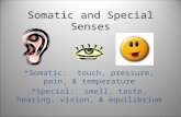Somatic and Special Senses *Somatic: touch, pressure, pain, & temperature *Special: smell, taste, hearing, vision, & equilibrium.