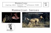 Mammalian Senses Mammalogy (Spring 2014 Althoff - reference FDVM Chapter 8) LEC 09.