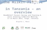 MoreMilkiT Project Review and Planning & Joint Steering Committee Meeting 17-19 March 2014, Tanga, Tanzania Brigitte L. Maass.