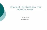 Channel Estimation for Mobile OFDM Zhang Nan (62427P)