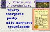 Sarah, Plain and Tall Story Vocabulary feisty energetic pesky mild mannered troublesome Open Court 4 th Grade Unit 1 Risks and Consequences Lesson 3 Sarah,
