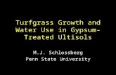 Turfgrass Growth and Water Use in Gypsum-Treated Ultisols M.J. Schlossberg Penn State University.