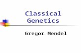 Classical Genetics Gregor Mendel. The Work of Gregor Mendel Genetics: the scientific study of heredity, or how traits are passed from one generation to.