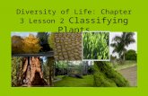 Diversity of Life: Chapter 3 Lesson 2 Classifying Plants.