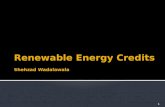 1.  What is a Renewable Energy Credit (REC)?  What are they used for?  Who uses them?  How is REC ownership tracked?  What is the Renewable Portfolio.