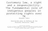 Customary law, a right and a responsibility: The fundamental role of indigenous peoples in protecting rights over TK Brendan Tobin Asociación para la Defensa.