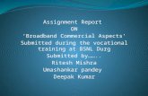 Assignment Report ON ‘Broadband Commercial Aspects’ Submitted during the vocational training at BSNL Durg Submitted by…….. Ritesh Mishra Umashankar pandey.