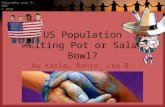 By Karla, Ronja, Lea B. and Manuel US Population Melting Pot or Salad Bowl? Geography year 8, NEN © 2010.