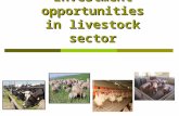 Investment opportunities in livestock sector. TABLE OF CONTENTS  Legal framework  Structure of livestock sector  Favorable regions for animal husbandry.