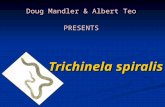 Trichinela spiralis Doug Mandler & Albert Teo PRESENTS.