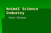 Animal Science Industry Chris Ellason World Livestock and Poultry billions of animals: Chickens:14.1 Cattle & Buffalo:1.5 Sheep:1.1 Pigs:0.9 Goats:0.7.