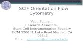 Stem Cell Instrumentation Foundry SCIF Orientation Flow Cytometry Venu Polineni Research Associate, Stem Cell Instrumentation Foundry UCM 5200 N. Lake.