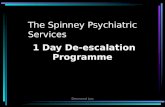 Desmond Loo The Spinney Psychiatric Services 1 Day De-escalation Programme.