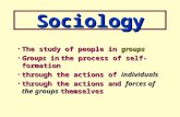 Sociology The study of people in groupsThe study of people in groups Groups in the process of self- formationGroups in the process of self- formation through.