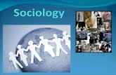 What is Sociology? The social science discipline that looks at the development and structure of human society (institutions) and how it works Sociology.