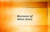 Because of Winn Dixie. I _____ people who are kind. A) Admire B) Admir C) Admier.