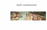 Self-calibration. Outline Introduction Self-calibration Dual Absolute Quadric Critical Motion Sequences.