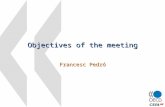 Objectives of the meeting Francesc Pedró. 2 Objectives of the NML Project  Demand side:  Define and observe what and who NML are  Compare their emergence.