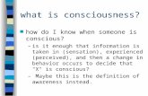 What is consciousness? n how do I know when someone is conscious? –is it enough that information is taken in (sensation), experienced (perceived), and.
