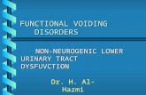 FUNCTIONAL VOIDING DISORDERS NON-NEUROGENIC LOWER URINARY TRACT DYSFUVCTION Dr. H. Al-Hazmi.