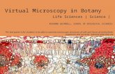 FACULTY OF SCIENCE Virtual Microscopy in Botany Life Sciences | Science | R OSANNE Q UINNELL, S CHOOL OF B IOLOGICAL S CIENCES The ‘end game’ is for students.