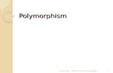 Polymorphism Chapter EightModern Programming Languages1.