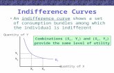 Indifference Curves An indifference curve shows a set of consumption bundles among which the individual is indifferent Quantity of X Quantity of Y X1X1.