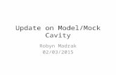Update on Model/Mock Cavity Robyn Madrak 02/03/2015.