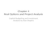 Chapter 4 Real Options and Project Analysis Capital Budgeting and Investment Analysis by Alan Shapiro.